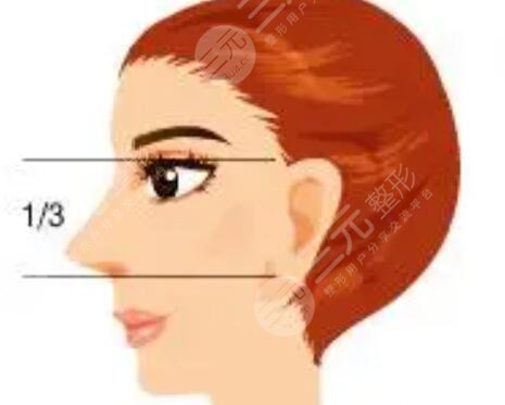 真人案例图来喽，看看隆鼻手术1-7天分别是什么样子？