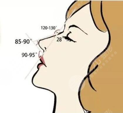 隆肋骨鼻子20天恢复图