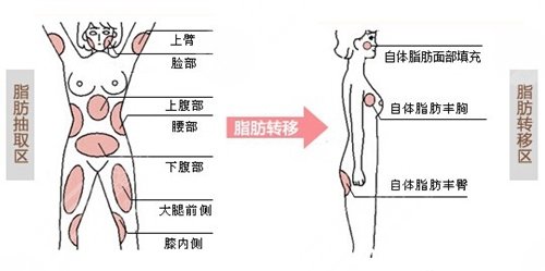 北京延世金奇龙怎么样
