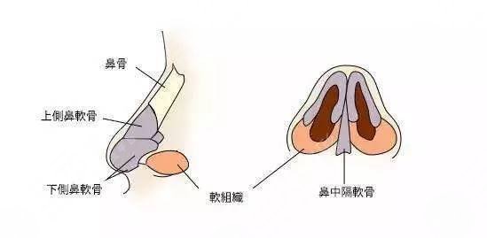 福州爱美尔