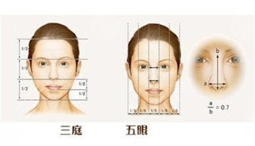 林登文双眼皮手术前