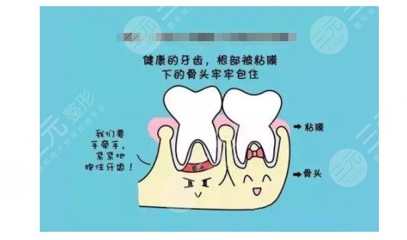 牙齿松动有什么办法恢复?从源头解决的5个技巧!