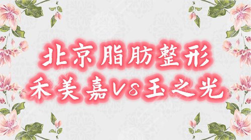 北京禾美嘉和玉之光哪个更好？