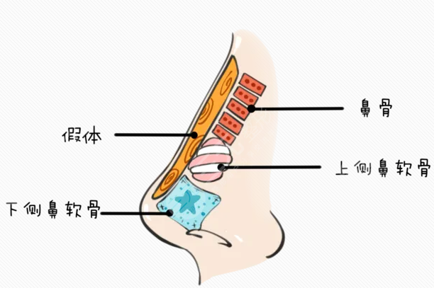 武汉肋骨鼻刘波