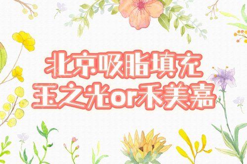 北京吸脂填充 玉之光or禾美嘉