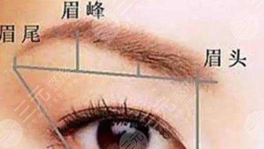 种植眉毛