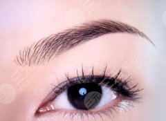 种植眉毛较终果怎么样？科普&注意事项解答，“美眉”必看！