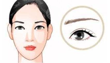 眉毛种植