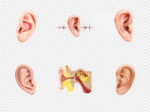 招风耳如何矫正