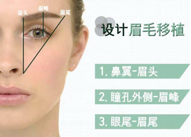 眉毛种植一般需要多少钱，贵不贵？2022参考价格指南！