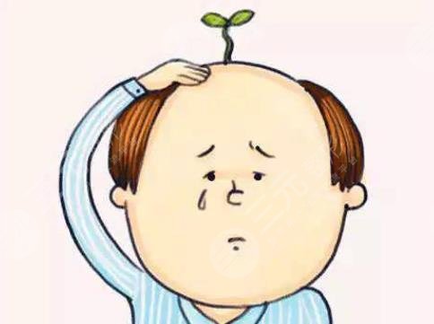 植发手术需要多少费用？影响因素盘点，告别脱发烦恼~