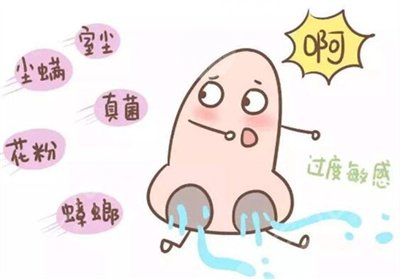 代表作《旋风少女》及角色介绍