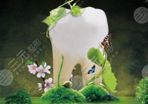 种植牙价格的影响因素