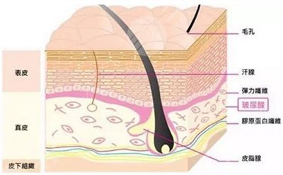 去颈纹的方法有哪些?