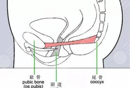 私密整形