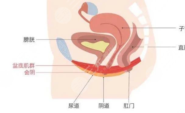 私密整形