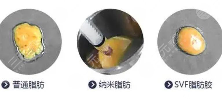 脂肪胶是什么材料