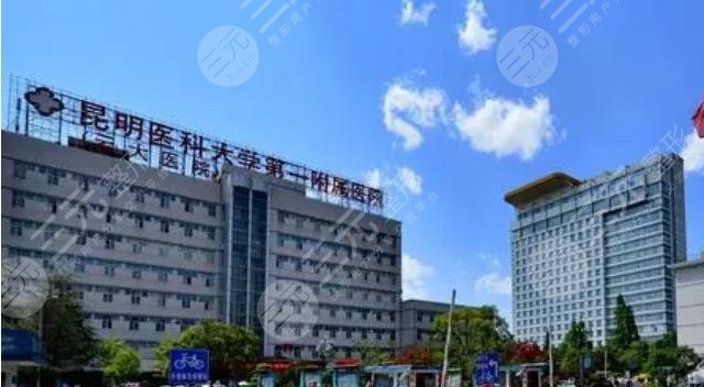 昆明中医皮肤科：传统与现代的完美融合