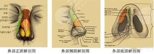 上海九院隆鼻术后记录