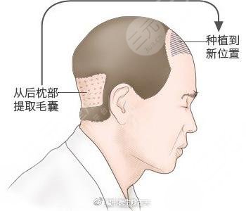 北京八大处医院环境图