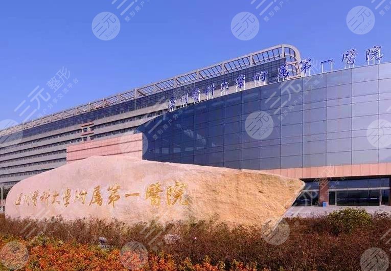 温州医科大学附属第一医院有植发吗？哪位医生好？附植发手术过程