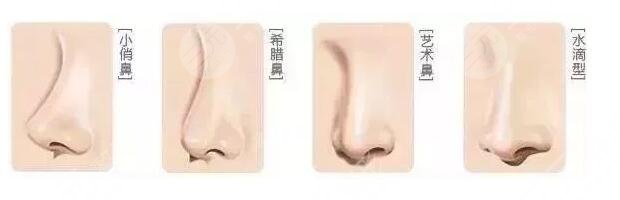 深圳艺星做鼻子案例果