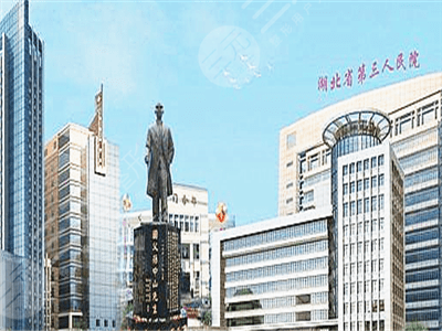 武汉植发公立医院