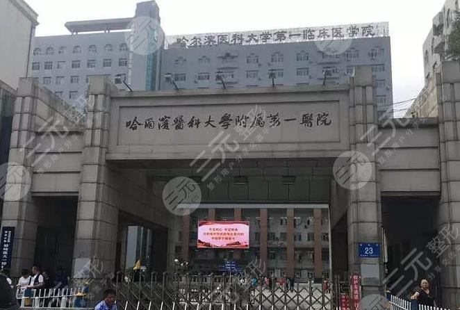 哈尔滨医大一院有植发科室吗
