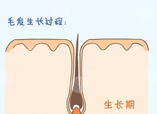 私密种植