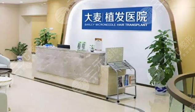 杭州大麦微针植发