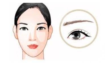 眉毛种植