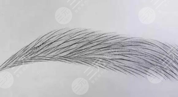 种眉毛怎么种，果怎么样？科普解答，浓眉的养成秘籍！