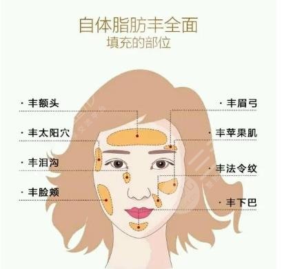 脂肪修复