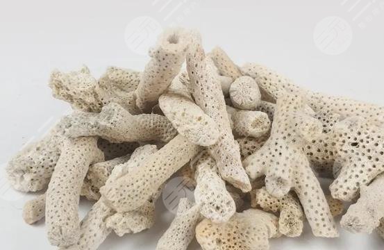 珊瑚骨填充