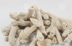 珊瑚骨雕是什么，隆鼻怎么样？新注射美容材料登场，优点介绍！