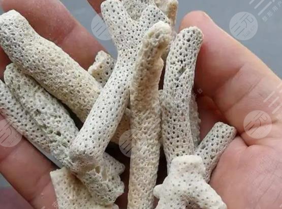 珊瑚骨填充