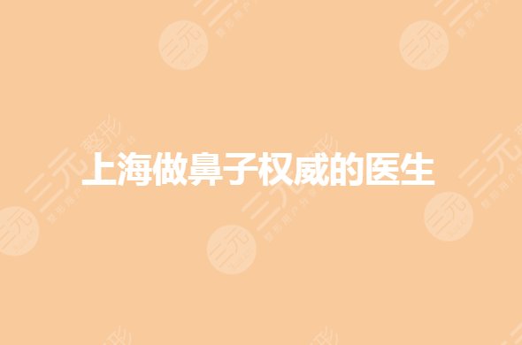 上海做鼻子比较出名的医生排行有谁?做鼻子专家谁好?