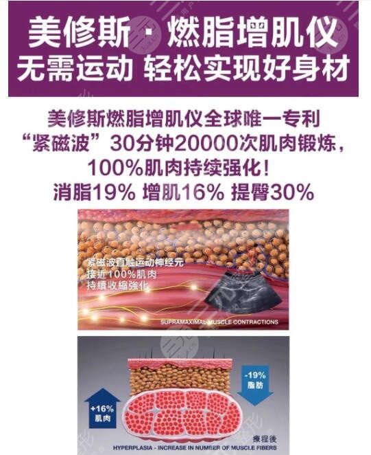美修斯减脂的原理