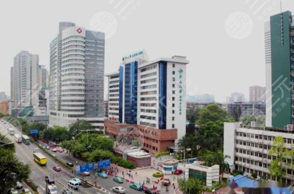 中山大学附属第三医院整形外科