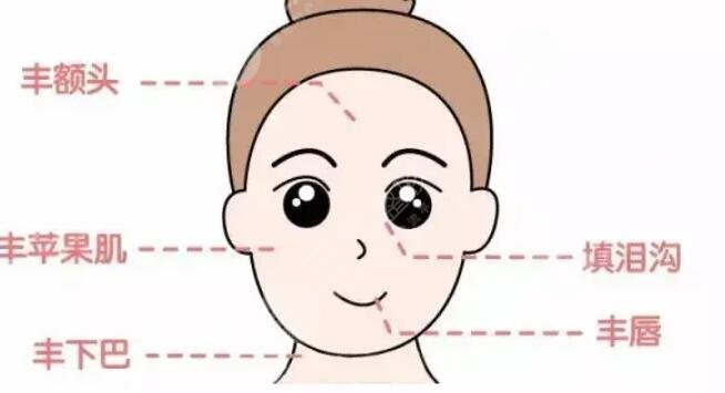 艾莉薇