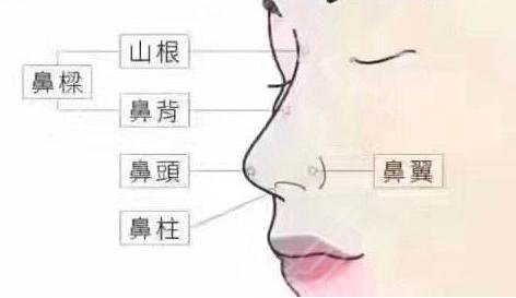 鼻整形的方法有哪些?