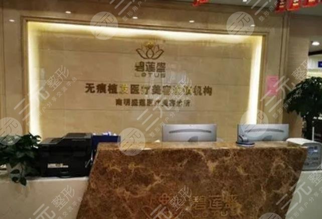 贵阳碧莲盛植发