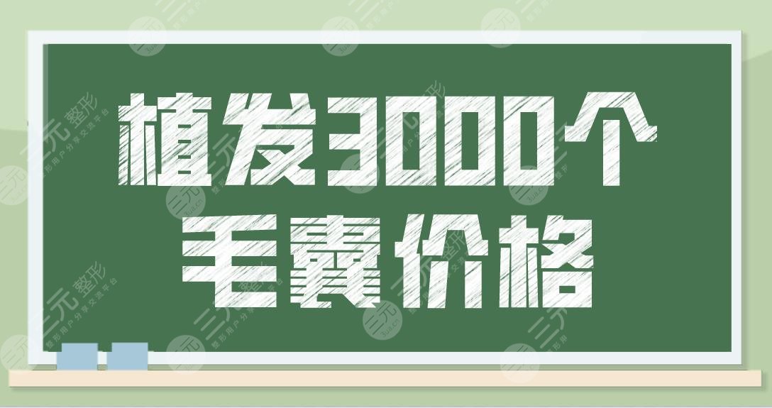 植发3000个毛囊价格多少钱?费用大概要多少?附植发手术价目表