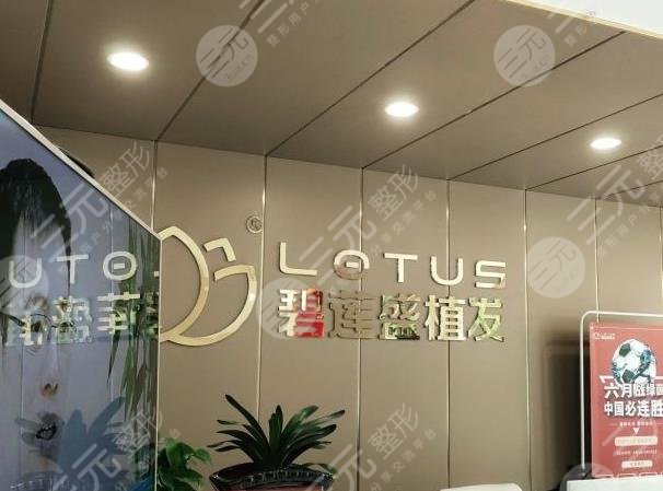 沈阳碧莲盛植发价格多少钱