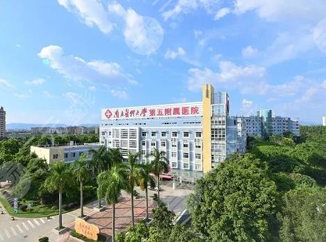 广州隆鼻三甲公立医院