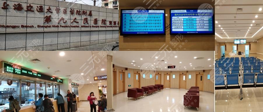 上海第九医院(上海第九医院擅长什么)