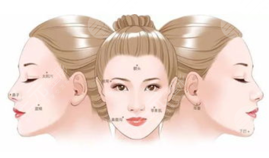 苹果肌