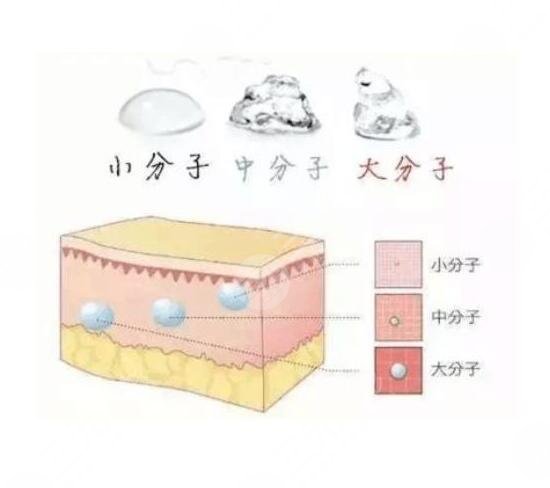 乔雅登丰颜较好雅致