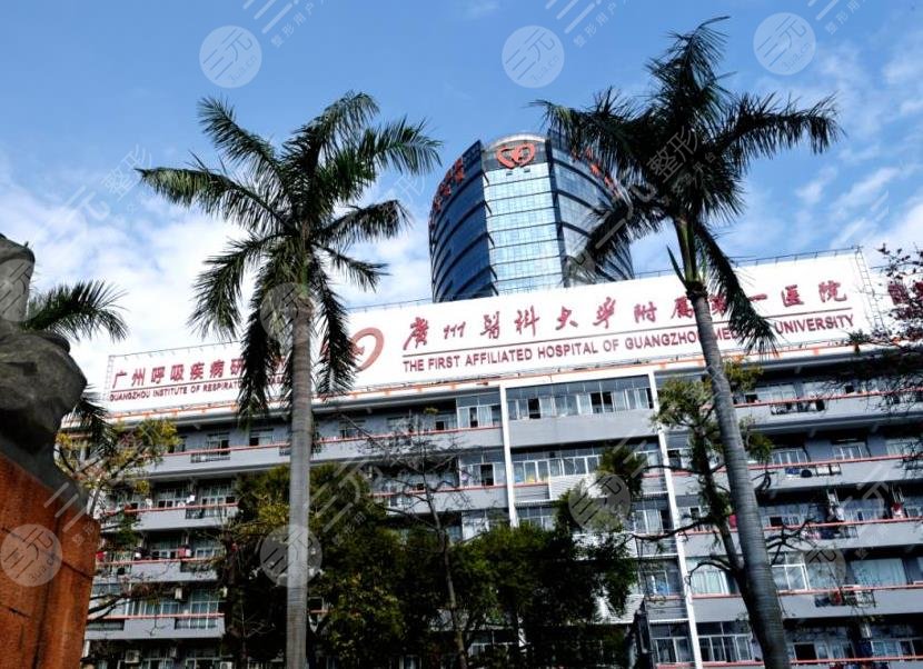 广州脂肪填充三甲公立医院