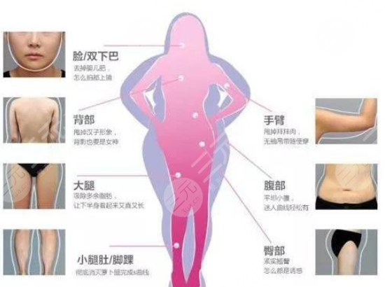 自体脂肪填充手术原理